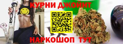 спиды Кингисепп