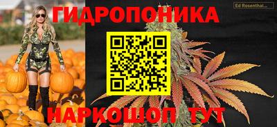 спиды Кингисепп