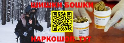 спиды Кингисепп