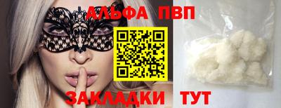 спиды Кингисепп