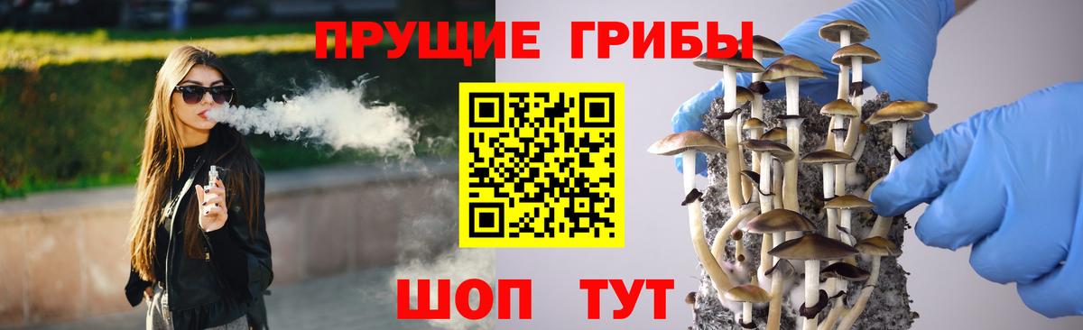 Егорьевск  Псилоцибиновые грибы прущие грибы  купить  цена  Вход с VPN 